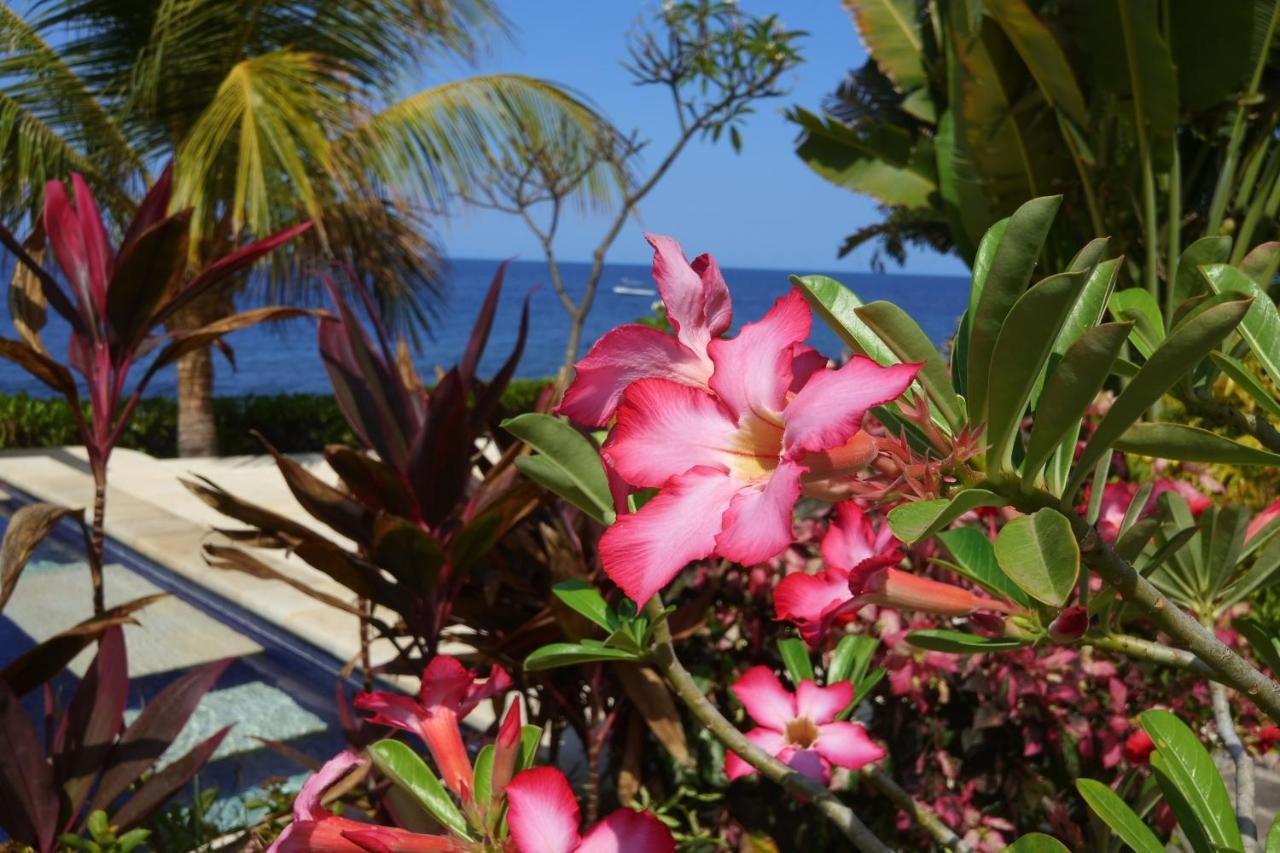 Alam Mimpi Bali Hotel Tejakula Eksteriør billede